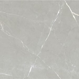 P.E. Essenza Grey v-lup 60x120 rect. Pul.