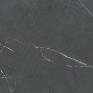 P.E. Essenza Anthracite v-lup 60x120 rect. Pul.
